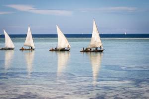 Zanzibar Holiday and Travel Special Offers